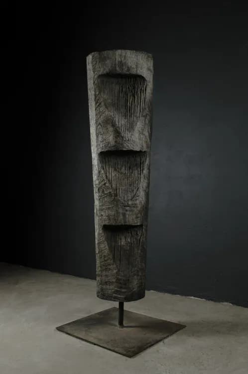 TOTEM T-2
